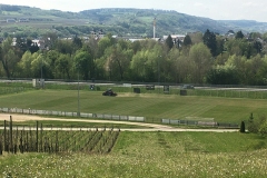 1_Striegeln1